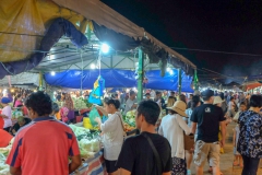 LRM_EXPORT_5801910282399_20190223_231327052