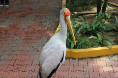 20190304090942_IMG_8256