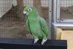 20190304100906_IMG_8292