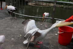 20190304102617_IMG_8304