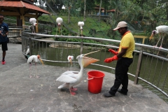 20190304102636_IMG_8307