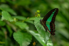 LRM_EXPORT_278189043161_20190311_105915513