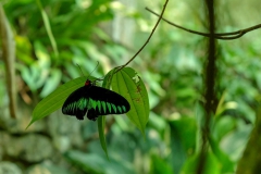 LRM_EXPORT_286293466818_20190311_105923617
