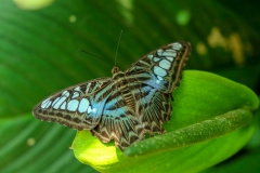 LRM_EXPORT_312989116654_20190311_105950313