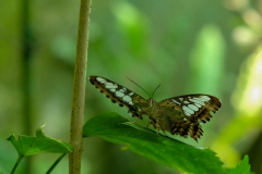LRM_EXPORT_315586401004_20190311_105952910