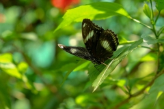 LRM_EXPORT_317596276234_20190311_105954920