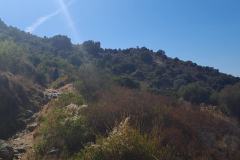 20260917_144754-frame-at-0m8s