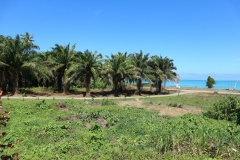 20190220051400_IMG_7529