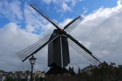 IMG_0721
