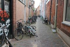 IMG_0731