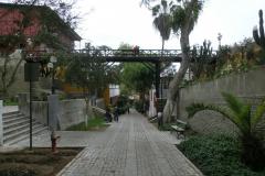 CIMG7030