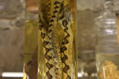 IMG_4073-scaled