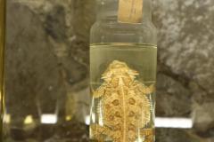 IMG_4074-scaled