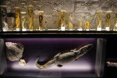 IMG_4075-scaled