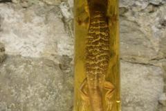 IMG_4077-scaled