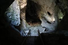 IMG_4037-scaled