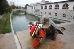 IMG_4171-scaled