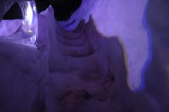 IMG_1819