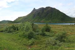 IMG_0011-2