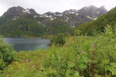 IMG_1794