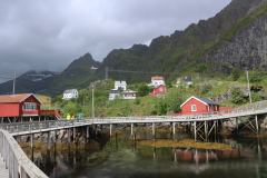 IMG_0203-2