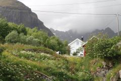 IMG_0206-2