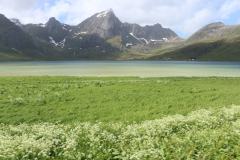 IMG_0148-2