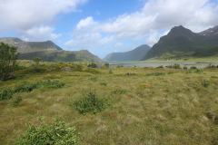 IMG_0150-2