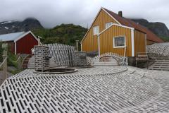 IMG_0102-2