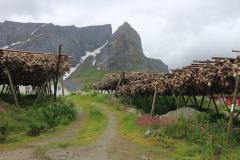 IMG_0237-2