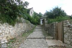 CIMG3077