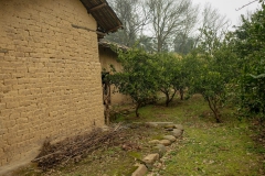 LRM_EXPORT_2960215534869_20190214_212045224