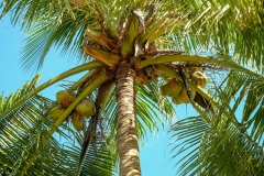 LRM_EXPORT_5507950285854_20190110_110302972