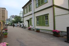 IMG_0790