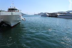 IMG_0902