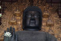 DSCF8895