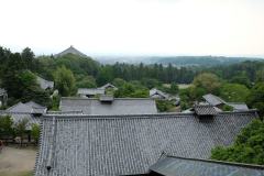 DSCF8927