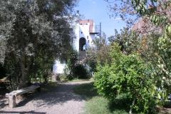 CIMG6141