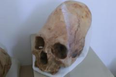CIMG5876