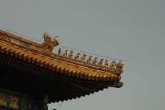IMG_1918-scaled