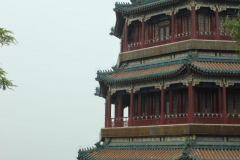 IMG_2656-scaled