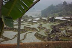 IMG_8434-scaled