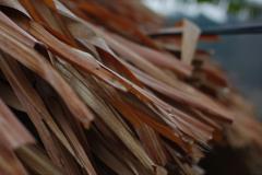 IMG_8612-scaled