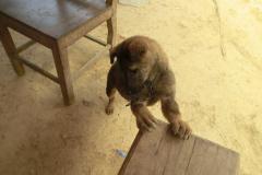 CIMG1671-scaled