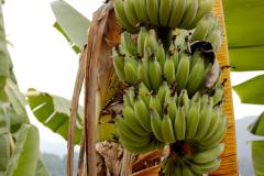 IMG_8406-scaled