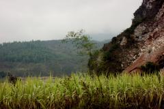 IMG_8697-scaled