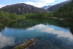 IMG_0331