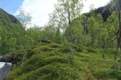 IMG_0280