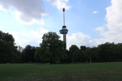 IMG_0460