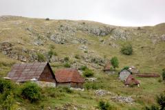 IMG_9869